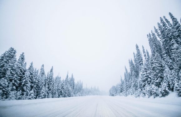 A snow-covered road stretches into the distance, flanked by densely packed snow-laden evergreen trees on both sides under an overcast sky.
