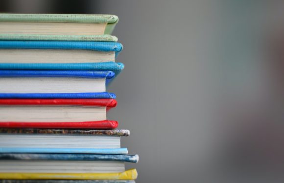 Stack of colorful hardcover and paperback books with a neutral gray background, with some books having slightly worn edges.
