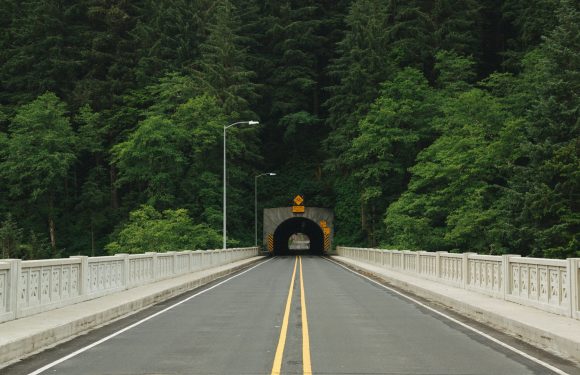 A two-lane road leading into a tunnel through a lush, green forest, with streetlights and warning signs visible near the tunnel entrance.