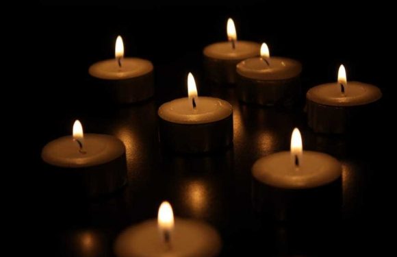 Seven lit tealight candles arranged on a dark surface, casting a warm, gentle glow in a softly lit setting.