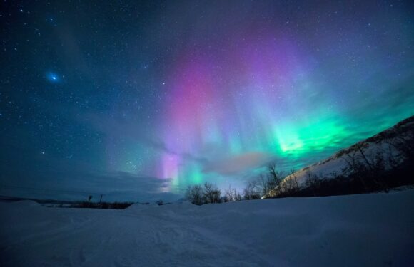 The night sky displays colorful auroras in green, purple, and pink hues over a snowy landscape with some silhouetted trees and mountains in the background.