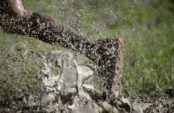 Close-up of a chainsaw cutting through a log, with wood chips and sawdust flying in the air, set against a grassy background.