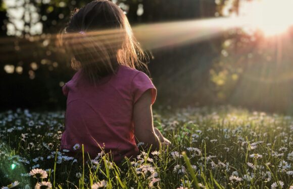 A girl sitting in a field of daisies with sunlight shining through trees in the background, creating a bright, warm atmosphere.