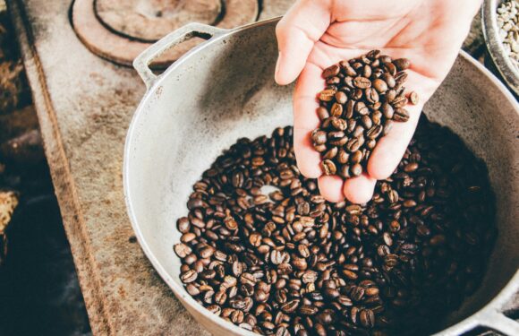 Hand holding coffee beans over a large metal container filled with coffee beans, set on a rustic wooden surface.