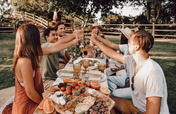 Group of friends celebrating outdoors, clinking drinks, seated at a table with food, flowers, and drinks, under a sunny sky with trees and a wooden fence.