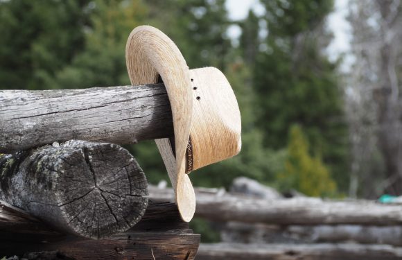 A woven straw hat hangs on a weathered wooden log outdoors, with a blurred background of green trees and overcast sky.