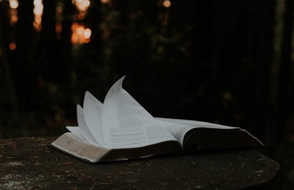 An open book with pages fluttering rests on a weathered wooden surface outdoors, with a blurred background of trees and fading sunlight.