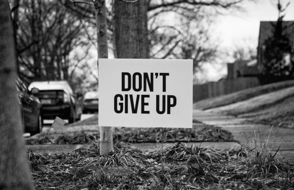 A sign reading "DON'T GIVE UP" is placed on a small yard with grass and plants, with trees, parked cars, and a residential area in the background.