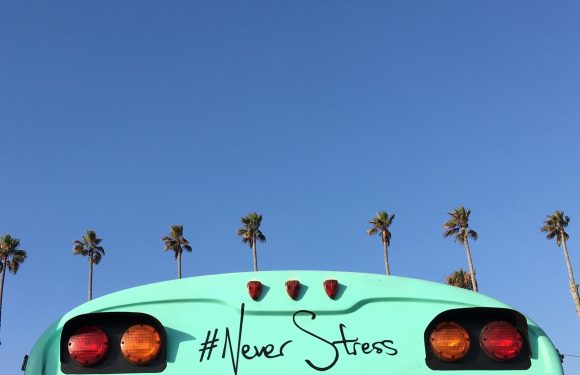 A turquoise vehicle with palmtrees and a clear blue sky in the background. The back has the hashtag "#Never Stress" written on it.