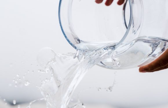 Hands pouring water from a glass into a clear vase against a white background.