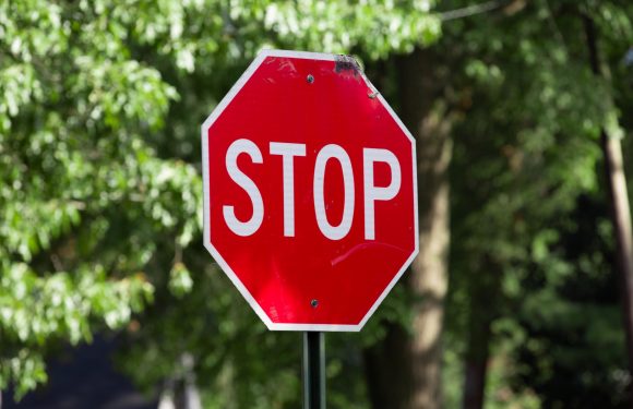 A red, octagonal stop sign with white text located outdoors among green trees and foliage.