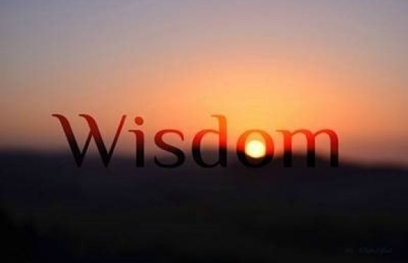 The word "Wisdom" appears with a sunset background, with the "o" resembling a setting sun and the colors blending into the horizon.