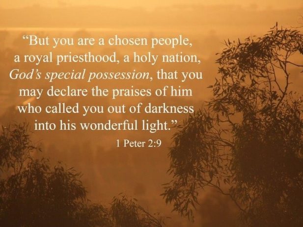 1-Peter-2-9-2