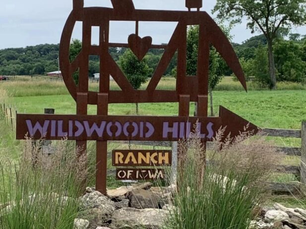 461198845 27137057609241480 1715835991390692259 n