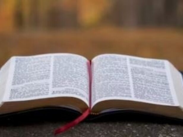 Bible Reading