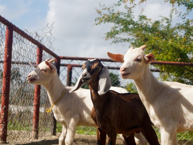 Friday 8 27 Jorge Salvador