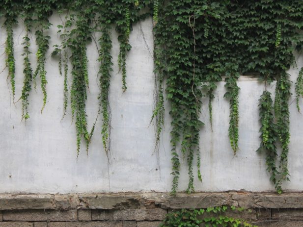 Thursday 3 3 Dinah Liu