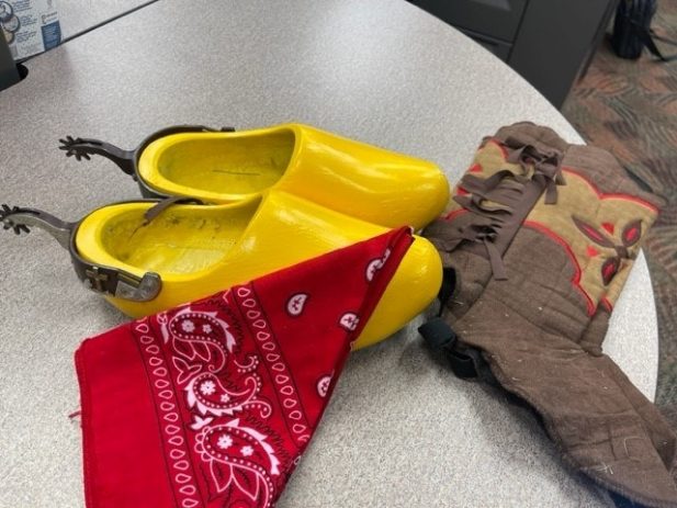 Tulip Festival Blog 2