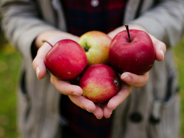 Person holding 4 red apples
