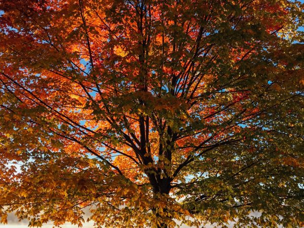 Aaron burden Bn2rz IYM53g unsplash