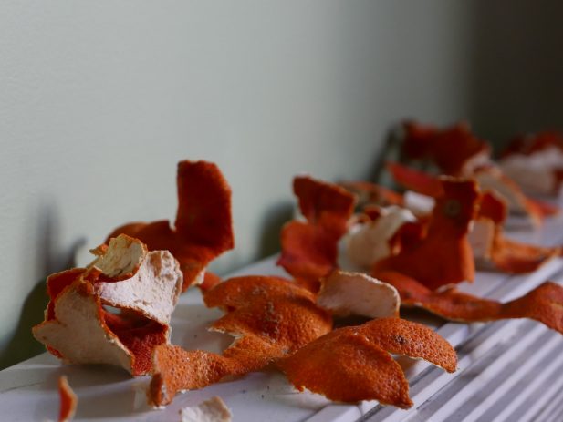 Dried orange peel scraps