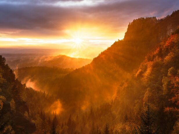 Sunrise viewed through tree covered mountain landscape.