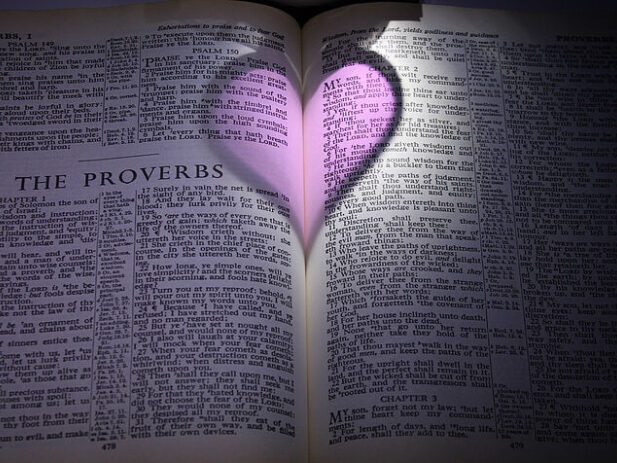 Bible proverbs heart purple preview