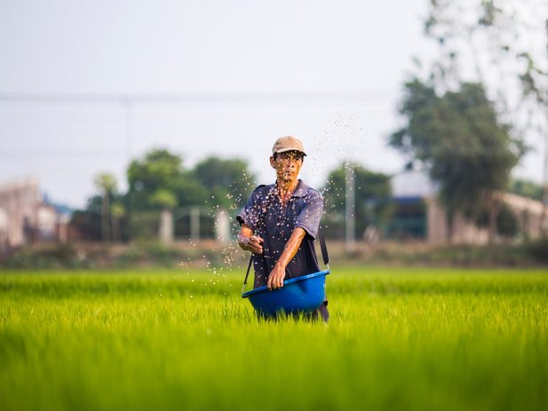 D ng tri pp E5mj US8t0 unsplash