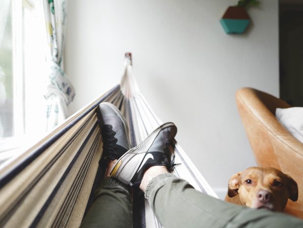 Person relaxing in hammock next to dog