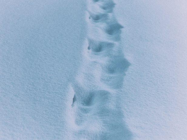 Eberhard grossgasteiger M7 C Wtla 8v E unsplash