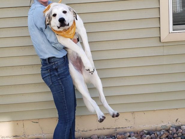Woman carrying a frowning dog