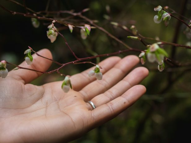 Greg rosenke z5 Uo PP4gfh8 unsplash