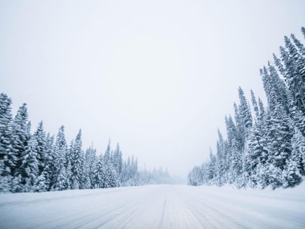 Evergreen trees covered in snow on both sides of a snow covered road