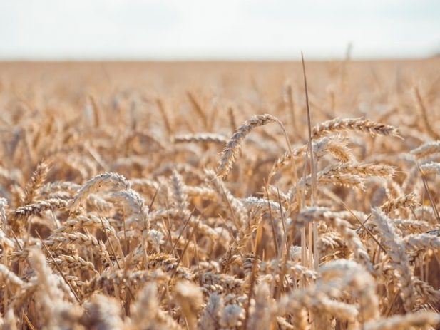 Photo 1532011461890 eeeeae55597f