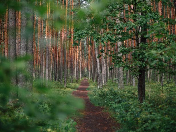 Ugne vasyliute Dag9cv89jb4 unsplash