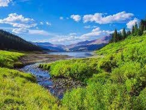Mountain valley with grass and a stream