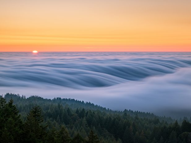 Zetong li 9 Dr Q22 C Sp Gs unsplash