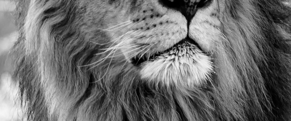 Dustin humes 7v E Grwm K Vp E unsplash