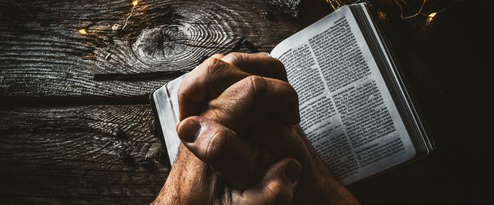 Person holding book page with string lights