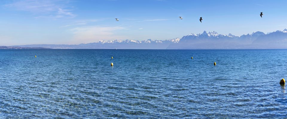 Xavier von erlach l6fkf L Xy MCU unsplash 2024 06 01 052835 kvjg