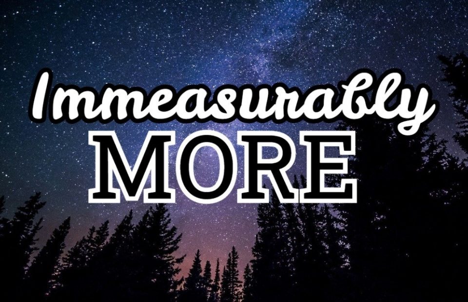The image features a night sky filled with stars and a faint purple glow near the horizon, with silhouettes of tall trees in the foreground. The text "Immeasurably MORE" is centered in bold, white letters.