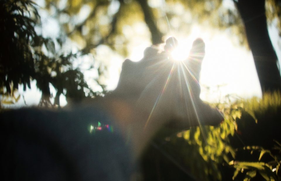 A person in a uniform stands outdoors among trees with sunlight shining brightly in the background. The person appears to be reaching out or touching a tree branch.