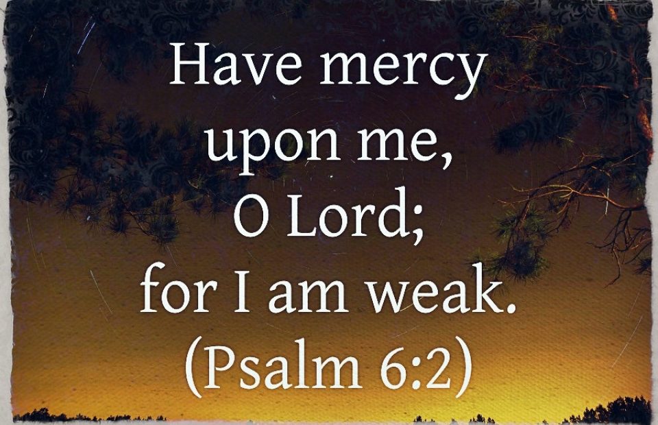 A background resembling a sunset or sunrise with trees at the top and bottom, overlaid with white text of a biblical verse from Psalm 6:2.