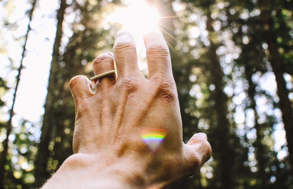 A hand with a gold ring on the ring finger reaches upward toward sunlight peeking through trees, creating a lens flare and rainbow reflection.