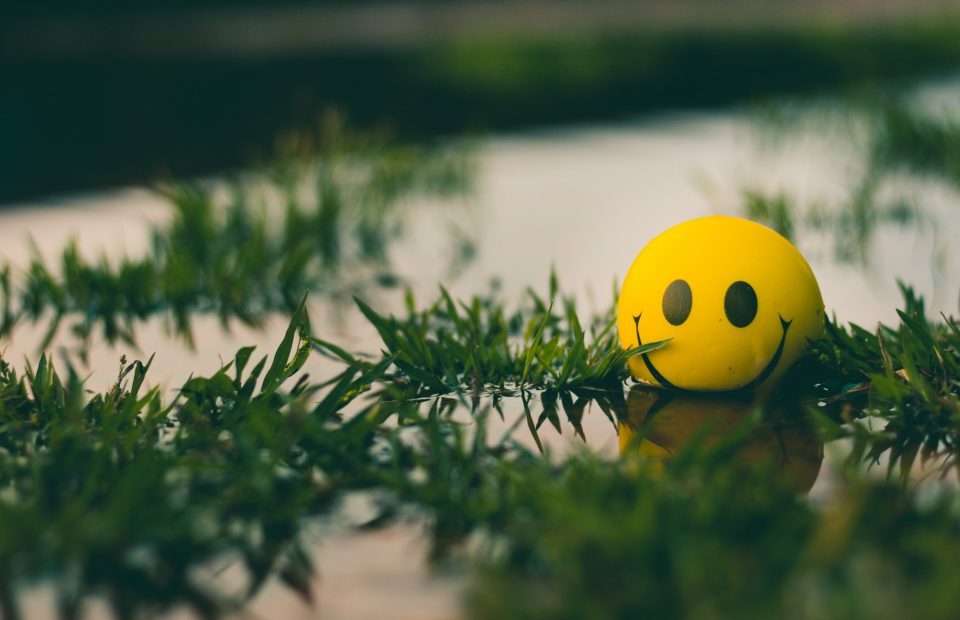 A yellow stress ball with a smiley face floating on water among green plants with a blurred background.