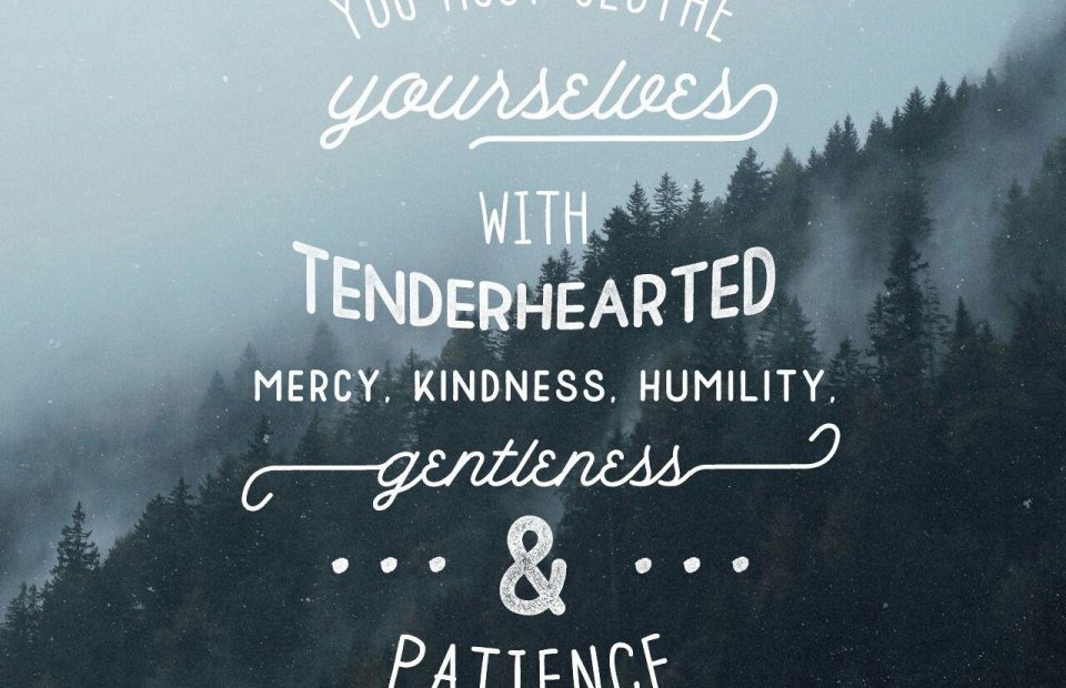 A quote from Colossians 3:12 overlays a misty mountain forest background with trees in shades of blue and gray, emphasizing kindness, humility, patience, and mercy.