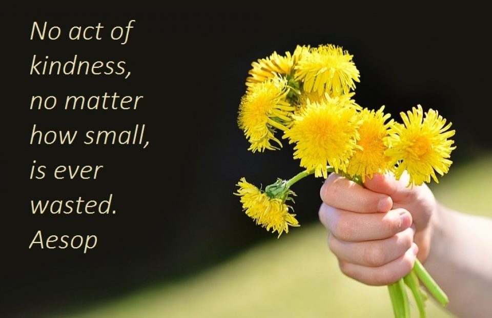 A hand holding a small bouquet of bright yellow dandelions against a blurred outdoor background with a quote by Aesop about kindness.