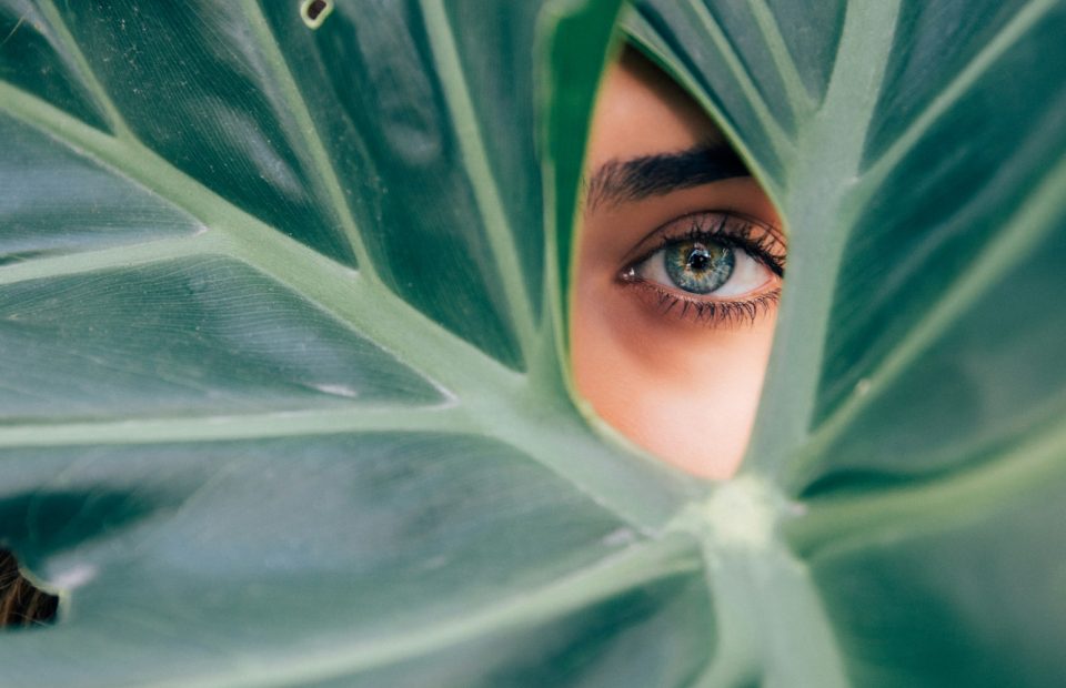 A person with piercing blue eyes peeks through a large green leaf with prominent veins, partially obscuring their face.