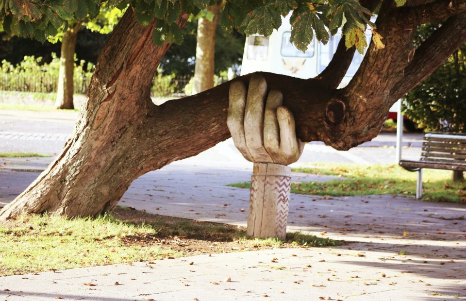 A large tree with a branch shaped like a human hand gripping a carved wooden pole, with a park bench and a vehicle visible in the background.