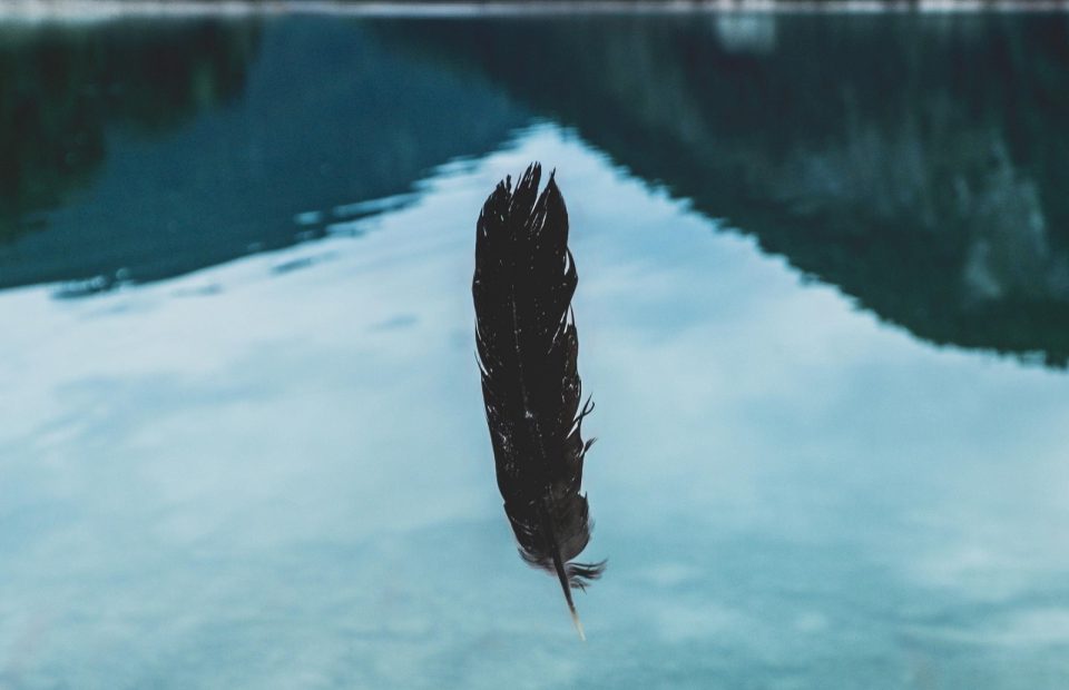 A hand reaches out over a tranquil lake with mountains in the background, as a black feather appears to fall towards the water.